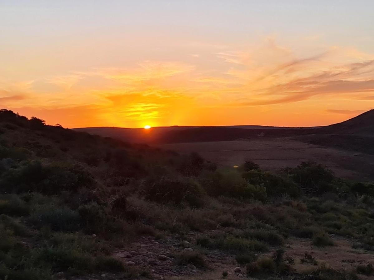 Indalu Game Reserve Boggomsbaai Exteriör bild