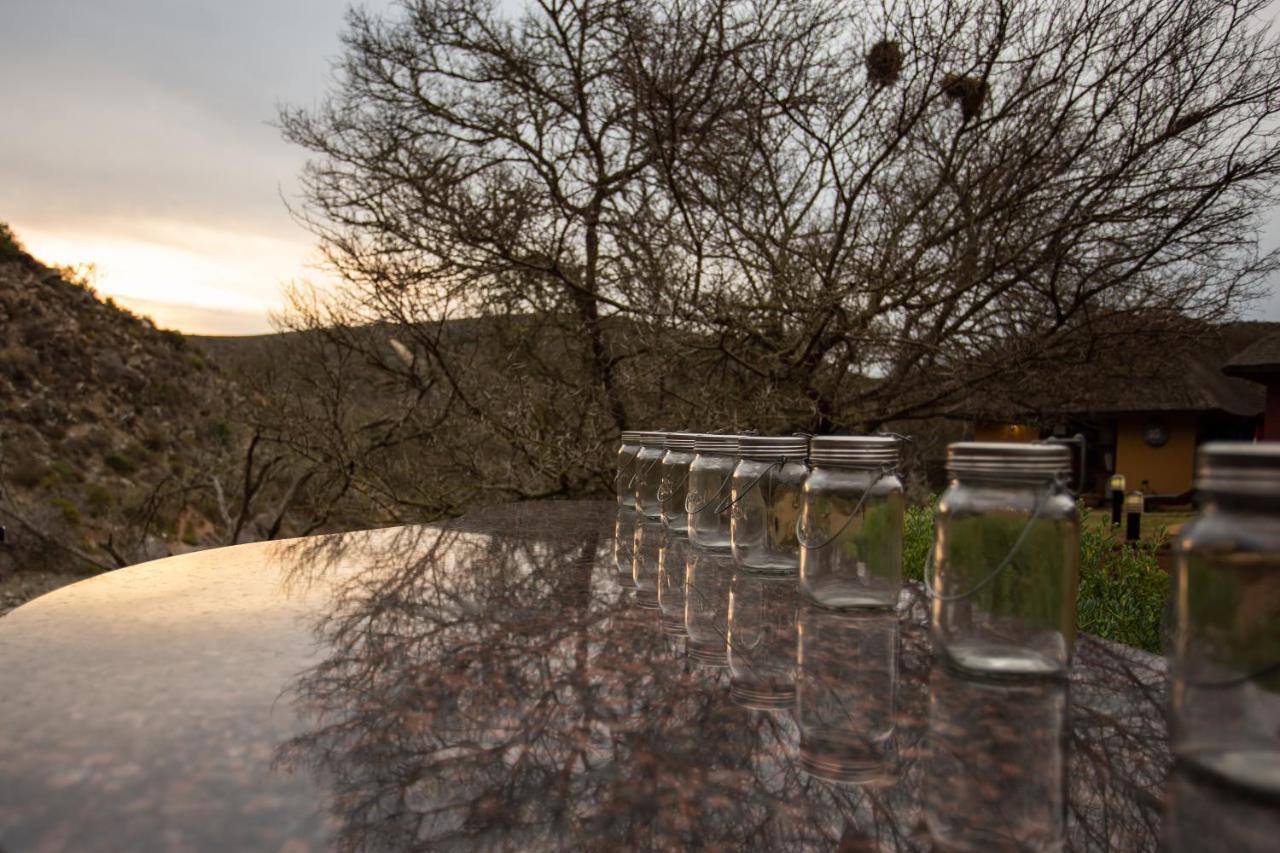 Indalu Game Reserve Boggomsbaai Exteriör bild